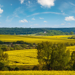 Wall Mural - spring countryside view with rapeseed yellow blooming fields, groves, hills. ukraine, lviv region.