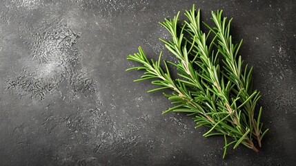 Sticker -  a close up of a sprig of rosemary on a black surface with water droplets on the surface and a sprig of rosemary sprig in the foreground.