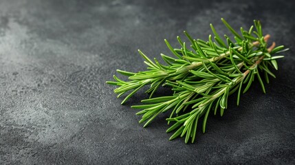 Sticker -  a close up of a sprig of rosemary on a black background with space for text on the left side of the image.