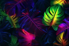 Creative Fluorescent Color Layout Made Of Tropical Leaves With Neon Light Square