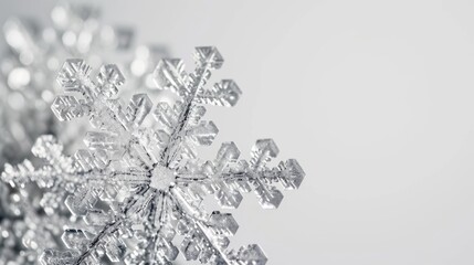 Poster - A close-up view of a snowflake on a white background. Perfect for winter-themed projects and holiday designs