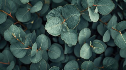 Aufkleber - Close-up shot of a bunch of green leaves. Perfect for nature-themed designs and projects