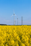 Fototapeta  - Wind turbine in a rapeseed field