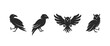 Birds logo set. Raven, Parrot and Owl signs. Vector illustration