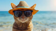 cat wearing sunglasses and a hat while on the beach next to the ocean