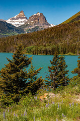 Wall Mural - Sunspot Point in Glacier National Park