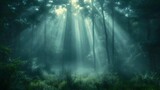 Fototapeta  - rays of light in the forest nature wallpaper
