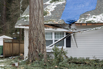 Residential house crushed by fallen trees and tree limbs during severe winter storm with strong winds. Tarp is placed on the damaged rooftop area as a temporary measure before proper roof repairs.