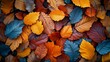 Pile of colorful autumn leaves on the ground. Autumn background.