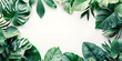 Real leaves with white copy space background. Tropical Botanical nature concept design, world plants day, Generative Ai