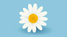 Illustration Of A Simple, Single Daisy, Its Petals And Yellow Center Against A Blue Background