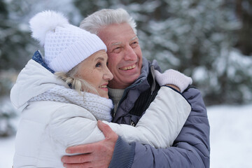 Wall Mural - Happy senior couple walking in winter outdoors