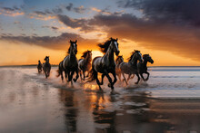 A Herd Of Friesian Horses Gallops On Top Of A Sandy Beach Under A Cloudy Blue And Orange Sky With Sunset