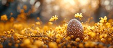 Nest With Easter Eggs In Grass On A Sunny Spring Day .easter Flowers On A Yellow-toned Decoration, Banner, Panorama, And Studio Background, Free Copy Space