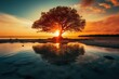  a tree in the middle of a body of water with the sun setting in the background and clouds in the sky.