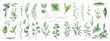 葉, 植物, 水彩, フレーム, 緑, アイコン, 草木, ベクター, セット, イラスト