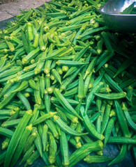 Poster - Fresh okra for sale at local market in India.