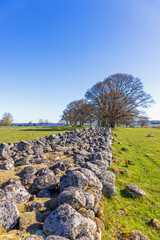 Wall Mural - Rural landscape view with a stone wall on a field at springtime