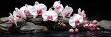 stones and orchid branch