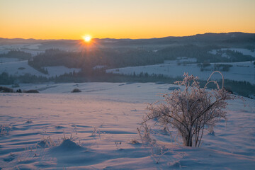 Wall Mural - extremely frosty mountain landscape at sunrise.pieniny mountain,poland