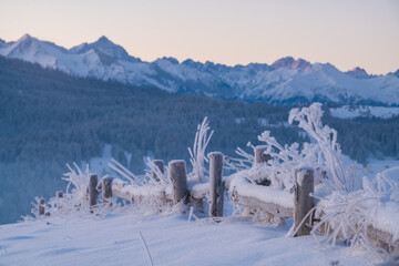 Wall Mural - extremely frosty mountain landscape at sunrise.pieniny mountain,poland