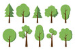 Set of trees isolated on a white background. Vector illustration flat design style