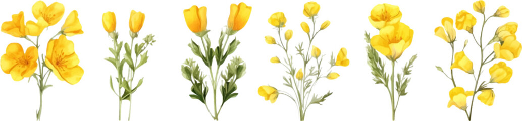 Wall Mural - Set of yellow flowers on white background