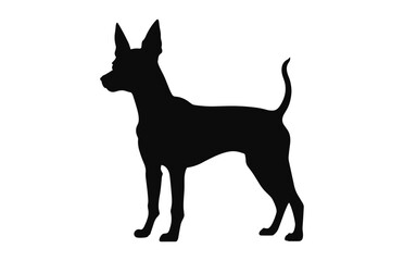 Wall Mural - Portuguese Podengo Dog black Silhouette vector isolated on a white background