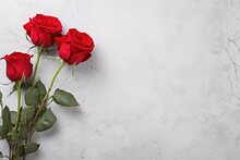 Red Roses On A Gray Background And Space For Text