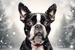 
drawing, sketch style, boston terrier dog, labrador black, black labrador, christmas themed, inspired on craighton berman