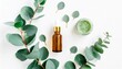 eucalyptus essential oil eucalyptus leaves on white background natural organic cosmetics products medicinal plant natural serums flat lay top view