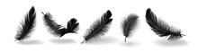 Bird Feather Group Shapes Realistic Vector Illustration Set
