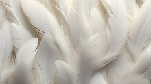 Beautiful Fluffy White Feather, Abstract Feather On White Background. High Resolution. Copy Space For Design And Text. Pastel Beige And White Colors. High Resolution.