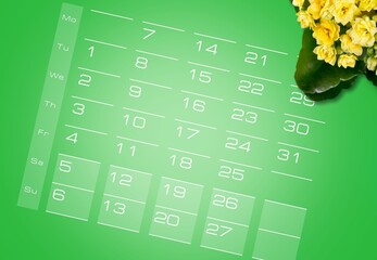 Poster - 2024 desk office calendar and plant