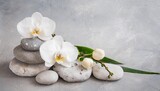 Fototapeta Desenie - white orchid and spa stones on the grey background
