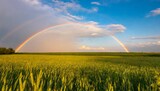 Fototapeta Tęcza - tranquil agricultural landscape with a magical rainbow at sunset ukraine europe