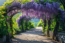 A Walking Path With Wisteria Flowers