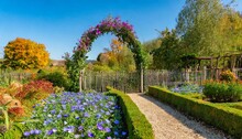 A Country Garden In Fall Autumn With Flowers Herbs Shrubs Trees Ornamental Grasses An Arbor Arch Covered With Heavenly Blue Morning Glory And Fence