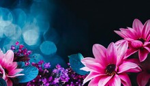 Beautiful Abstract Color Blue Pink And Purple Flowers On Black Background And Blue Graphic Dark Pink Flower Frame And Pink Leaves Texture Purple Background Colorful Graphics Banner