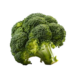 broccoli png. broccoli plant isolated. broccoli flat lay png. Brassica oleracea. organic broccoli plant png. fresh ripe vegetable
