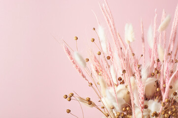  Floral composition of beautiful dried flowers on a pink background, copy space