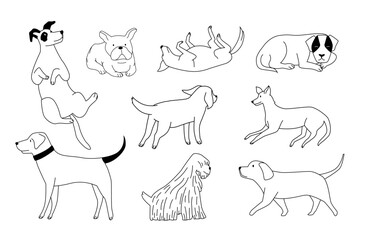 Wall Mural - Cute doodle dog. Furry playful domestic animals of different breeds. Adorable puppies outlines in various positions