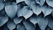 Light Blue Colored Plant Tropical Leaves Background Pattern Wallpaper From Generative AI