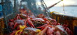 Off loading crabs. Northern ocean fishery, fishing industry.
