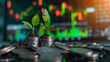 Plants growing on a pile of coins on the table. stock chart background, financial growth and financial freedom concept