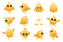Cute Cartoon Chicken Baby. Yellow Farm Poultry With Beak And Wings, Simple Happy Animal Characters With Different Emotions. Vector Isolated Set