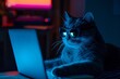 Cat Wearing Sunglasses Working On Laptop At Night, Adopting A Hacker Persona. Сoncept Cats In Costumes, Funny Cat Videos, Cat Photobombs, Cat Memes, Cat Yoga