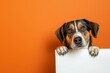 Orange Background With A Dog Holding A White Banner