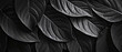 © Dorido - Abstract black leaf texture forms tropical leaf background.