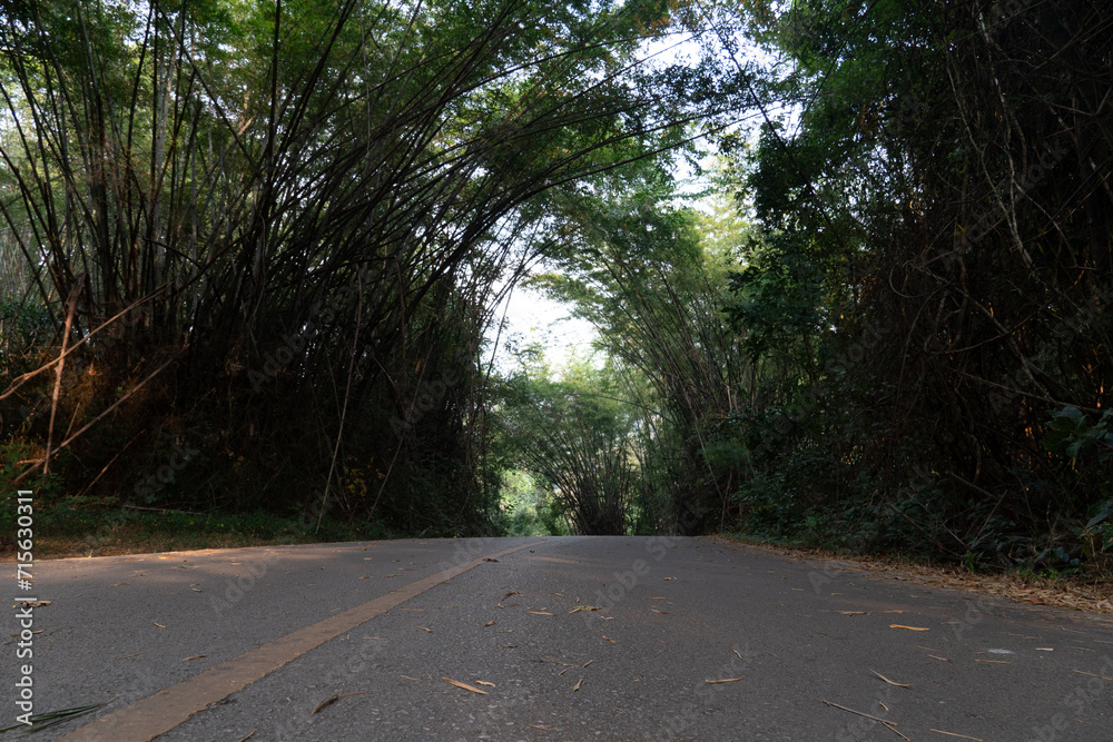 The route of the asphalt road with a long yellow line in the middle ...